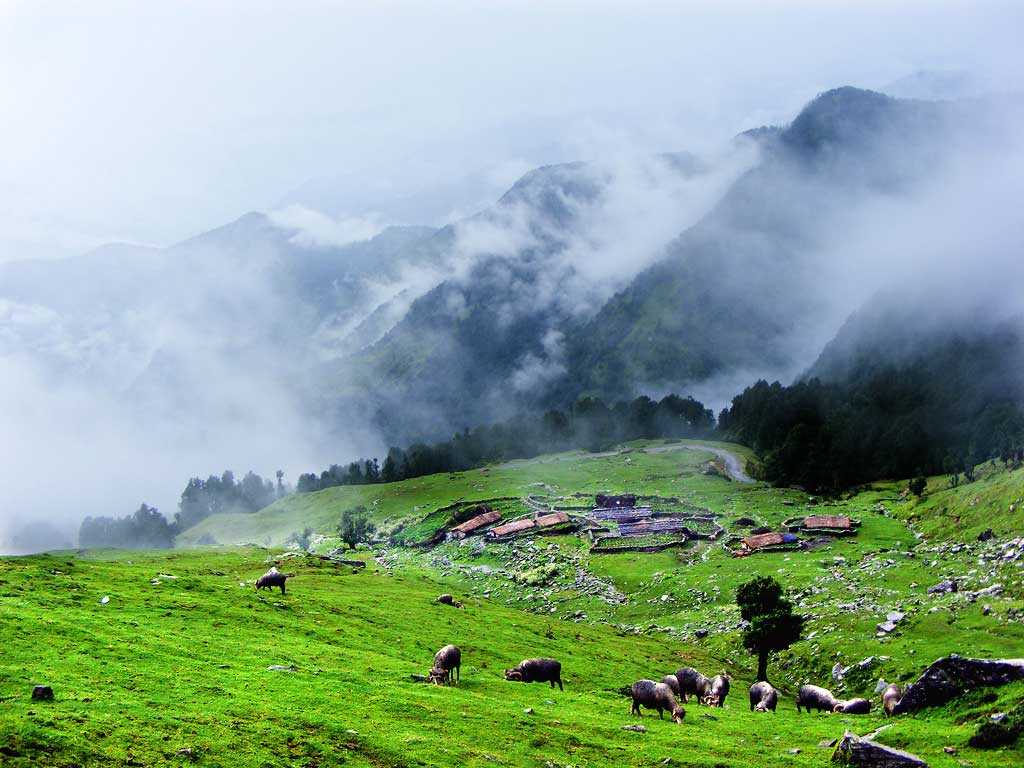 Chopta